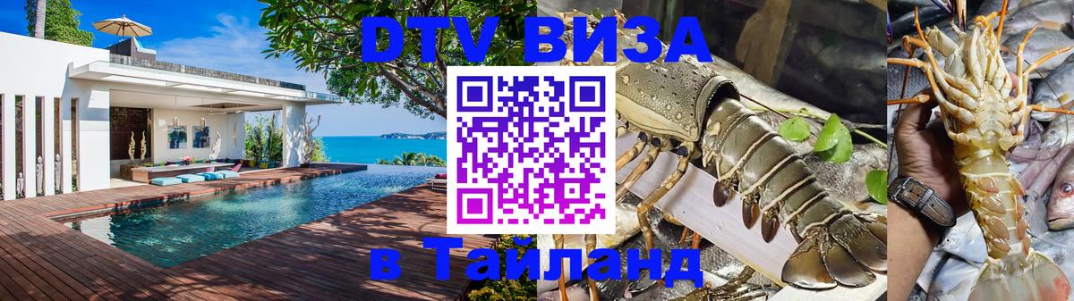 Visa ДТВ Тайланд помощь Димитровград 